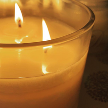 Load image into Gallery viewer, Auspicious Bamboo