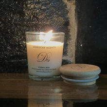 Load image into Gallery viewer, Travel Escapades (Trio) Candles