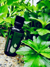 Load image into Gallery viewer, Pure Peppermint Essential Oil