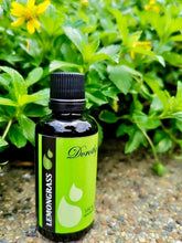 Load image into Gallery viewer, Pure Lemongrass Essential Oil
